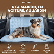 Tapis Rafraîchissant pour chien PlattyPaws (1+1)