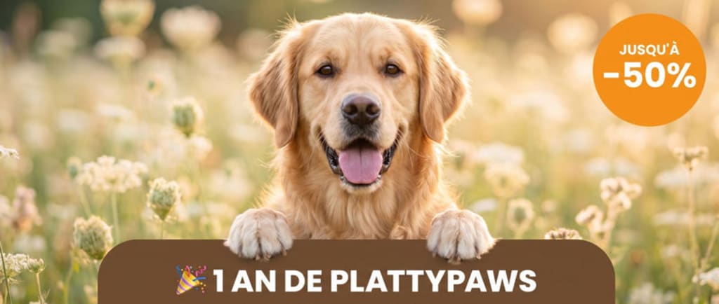 PlattyPaws