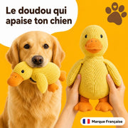 PlattyPaws