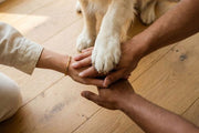 PlattyPaws