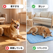 paws
